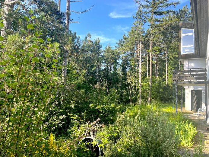 Naturnah: Besonderes 1-2 Familienhaus in Aussichtslage – Garten