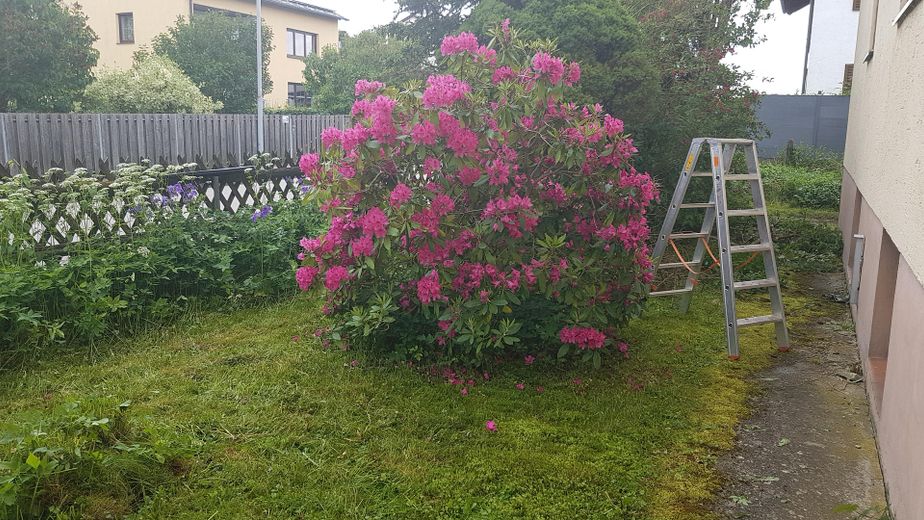 Garten Nordseite
