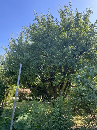 Freizeit Grundstück – Foto 10