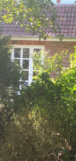 Garten Blick aufs Haus