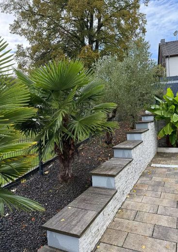 Traumhaus mit Einliegerwohnung in Saabrücken, Pool, Sauna, Klima .... – Palmen, Oliven u Bananenbäume