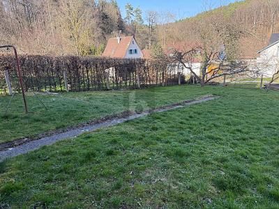 GRÜNES WOHNGLÜCK IN RUHIGER LAGE – 1779716449_0db71a.jpg