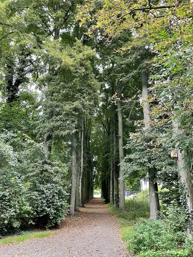 Umgebung - Lindweiher