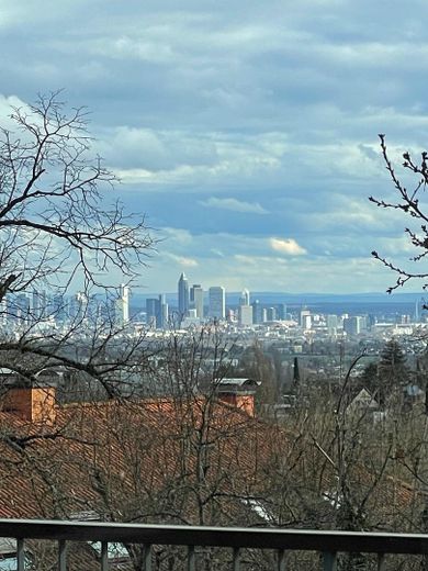 Skylineblick auf FFM