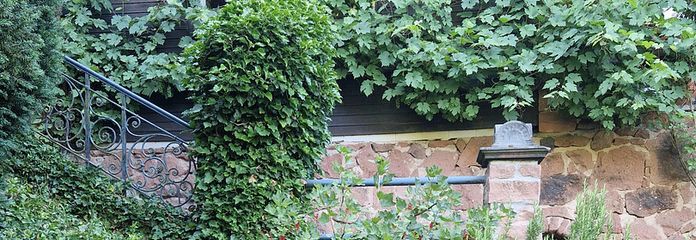 Gartenhaus vom Garten aus