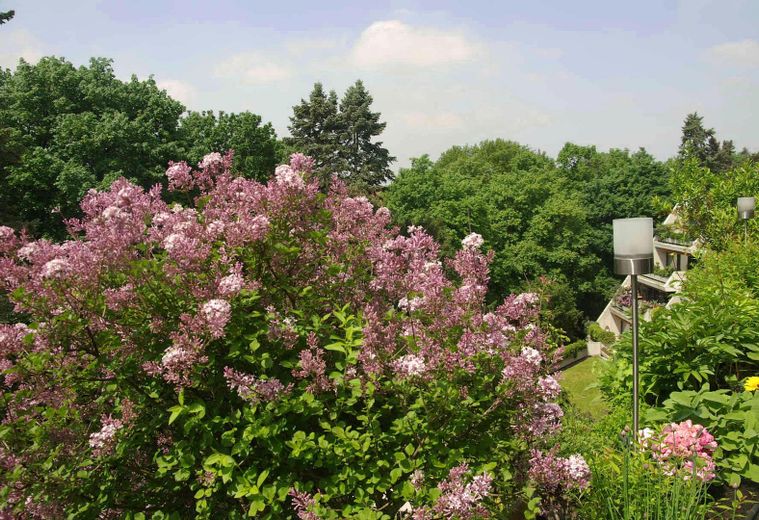 Traum Lage direkt am Stadtpark, frisch renoviert, sehr hell und modern mit Küche und Keller – Foto 10