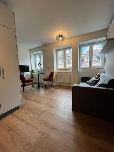 Furnished studio apartment - Himpfelhof – Wohnraum 2