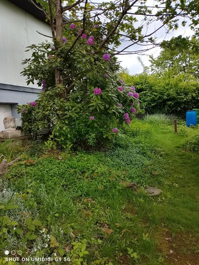 Nur noch wenige Tage :Einfamilienhaus in Seelscheid, Provisionsfrei – Garten