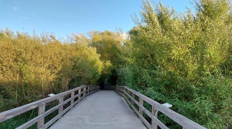 Eigentumswohnung in Berlin Hermsdorf – Naherholung Fließtalbrücke 