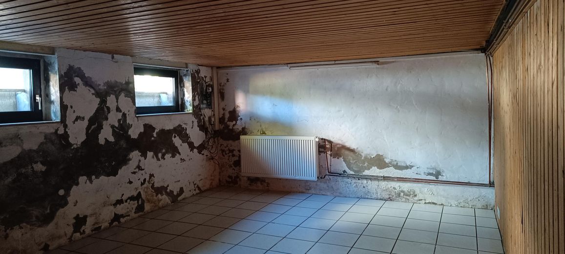 Detached house with extension near Unna town center – Kellerraum 1