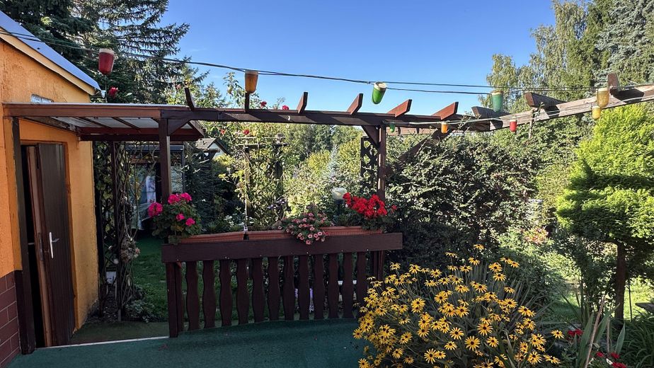 Eigenheim am SW-Stadtrand mit schönem Garten – Blick von der Terrasse