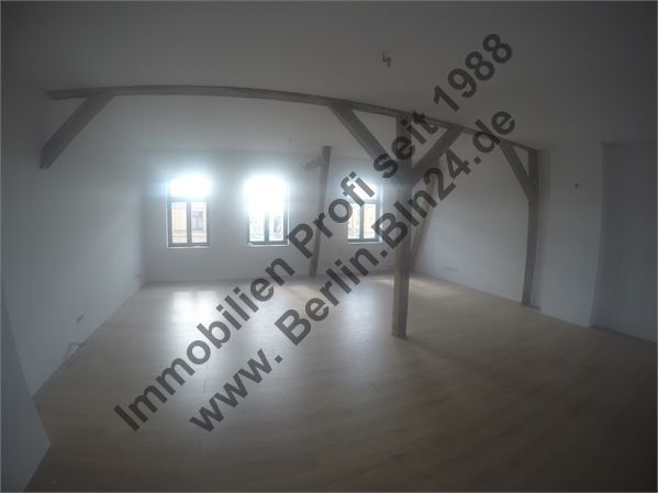 Mietwohnung- Loft - Dachgeschoß - Nähe - Lutherplatz – 006 - GoPro 092