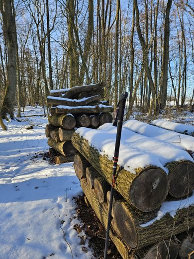 Landhaus unweit von Schwerin - Nachlaß bei zügiger Übernahme – Feuerholz