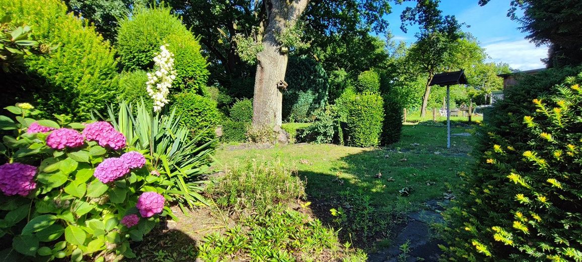 Vrijstaand, gemeubileerd huis met tuin ... voor exclusief gebruik in 33803 Steinhagen – Foto 1