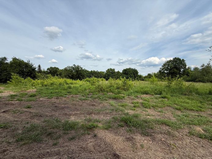 MAKLERFREI Projektstart sofort möglich: ca. 7.000 m² Gewerbegrundstück mit erteilter Baugenehmigung – Ausblick