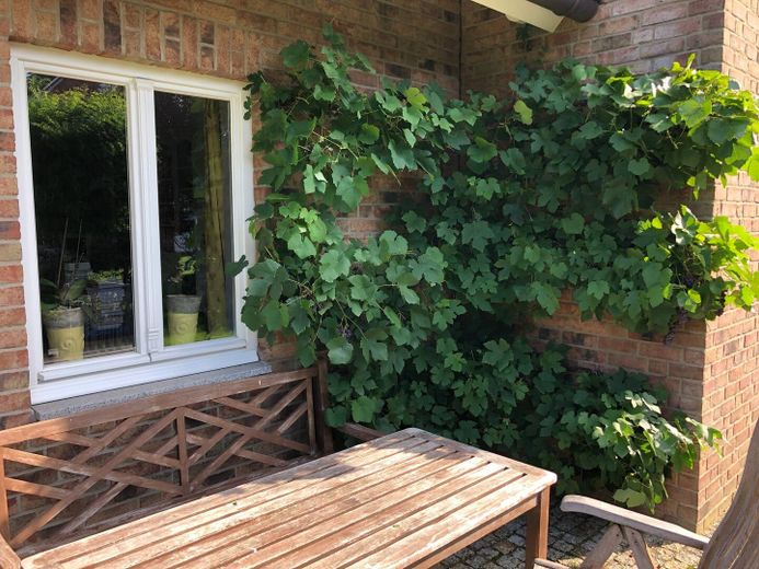 Landhaus "Rose Garden" direkt vor Sylt zu verkaufen! – Geschützter Sitzplatz 