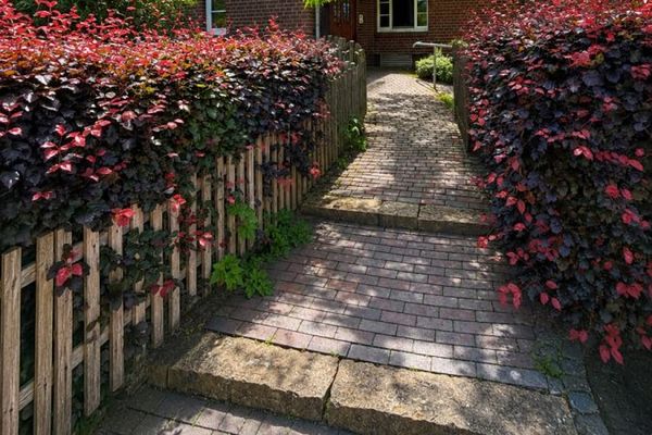 Ökologisches Architektenhaus mit Charakter - Wohnen im Einklang mit der Natur