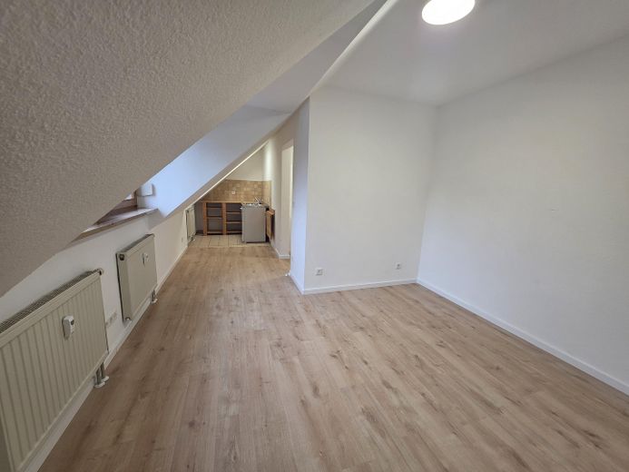 Beautiful 1-room apartment in Fürth-Dambach – vacant & immediately available – Wohn- und Schlafzimmer