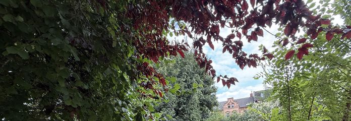 Garten 