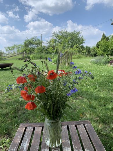 Dream property with house in the Uckermark – right in the biosphere reserve, water and forest – Sommer