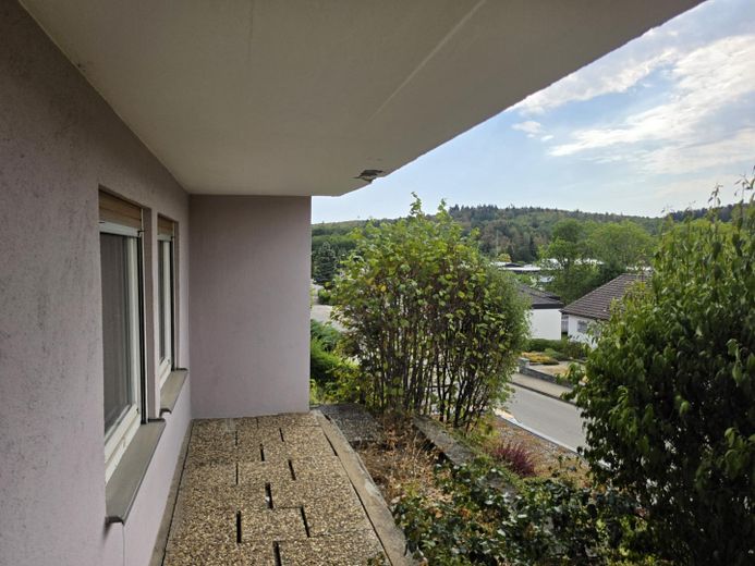 Provisionsfrei: Großzügiges Einfamilienhaus in ruhiger Aussichtslage mit teilbarem Großgrundstück – Beschädigte Platten und Balkon