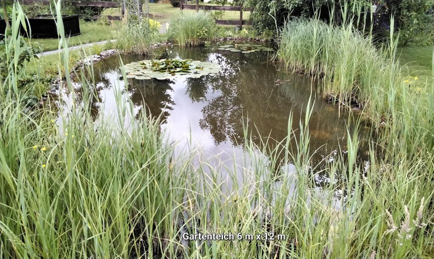 Verkaufe EFH – Foto 18
