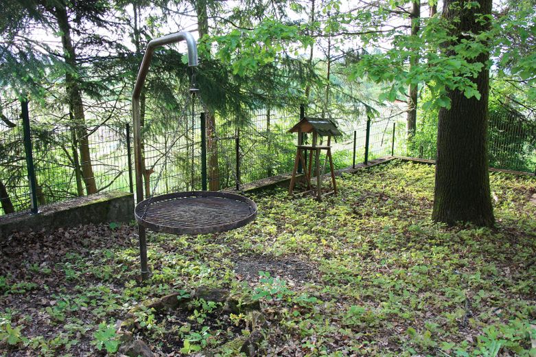 Waldhaus in Alleinlage – Grillplatz neben großer Eiche 