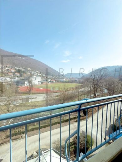 Kompaktes Mikro-Apartment mit Balkon in direkter Nähe AlbThermen Bad Urach – Aussicht