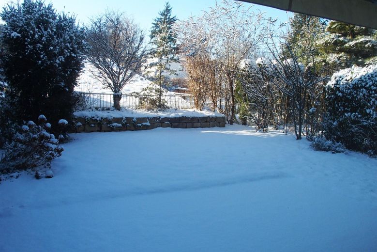 Garten - Blick von Wohnzimmer