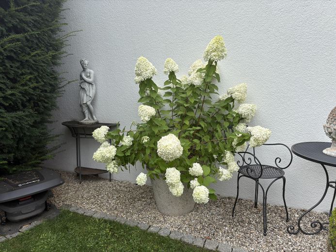 Escl. piano terra HH /appartamento e apt., garage, giardino, camino, RISCALDAMENTO NUOVO PREZZO SU RICHIESTA – Sitzecke Garage