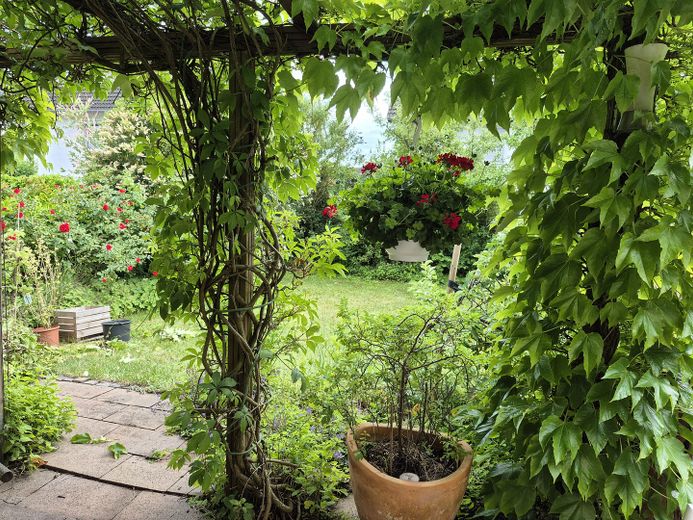 Top gepflegte Doppelhaushälfte in Becklem | 6 Zimmer | Wärmepumpe | PV-Anlage | A+ Energieeffizienz – Blick in den Garten