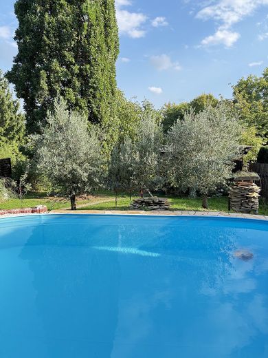 Ausblick in den Garten!