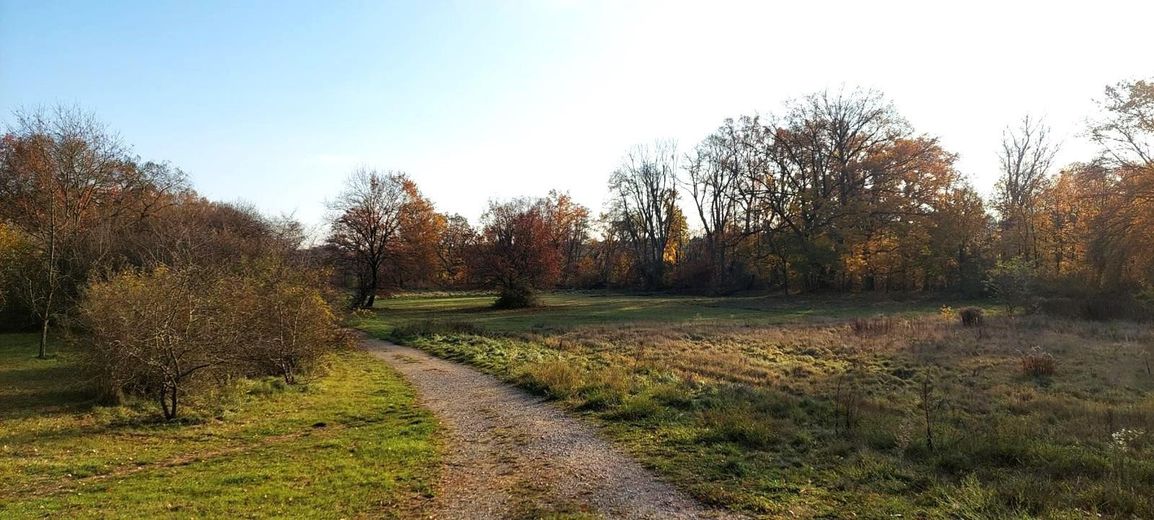 Wiesengrund direkt unterhalb