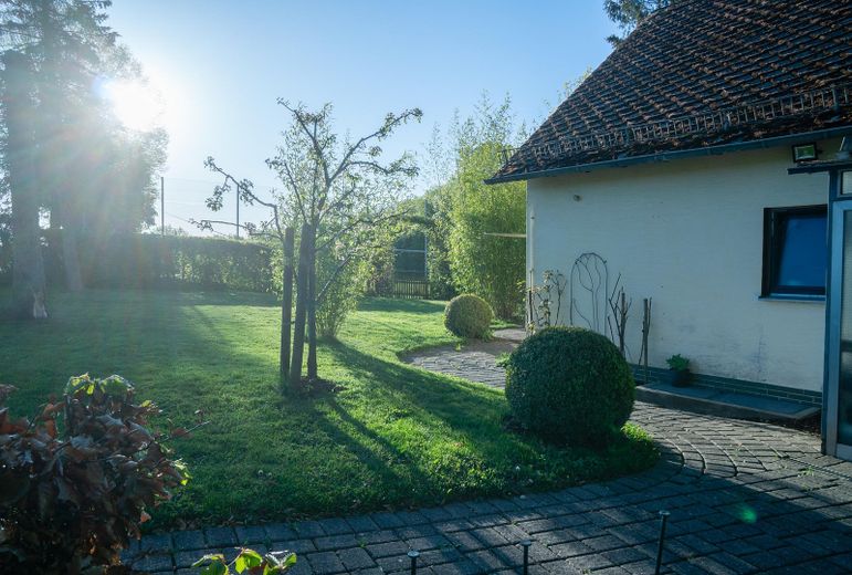 1,4 ha eigenes Land mit Wiese, Wald & Jagdhütte — Hunsrück-Landsitz in Einzellage – Foto 14