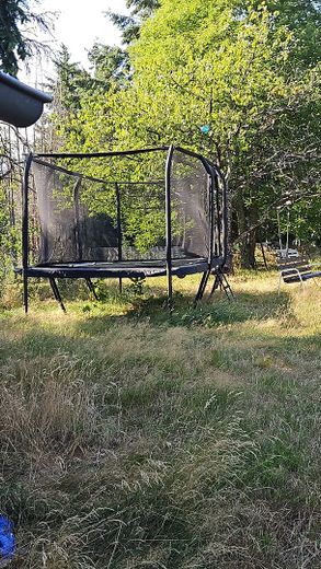 2 großzügige Wohnhäuser auf 2000m² Grundstück mitten im Pfälzer Wald – Foto 10