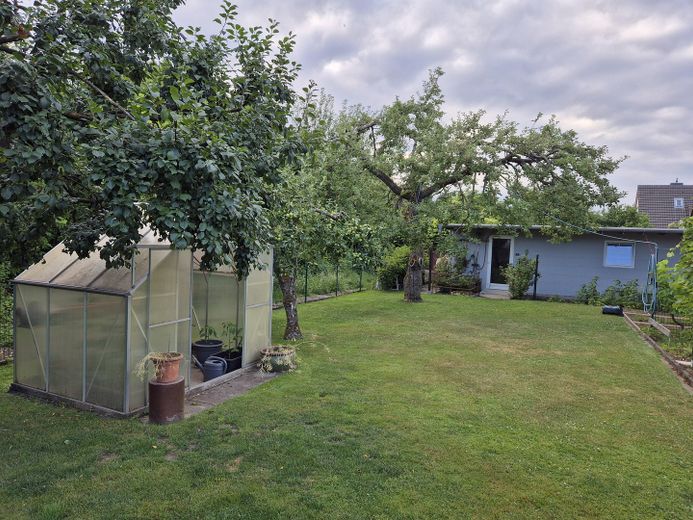 Blick auf Garage/Gewächshaus