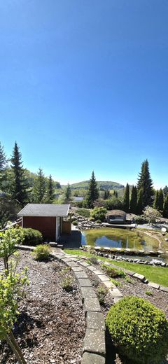 Hochwertiges Architektenhaus mit Wintergarten, Teich und 1.541 m² Grundstück in Albstadt-Tailfingen – Garten mit Teichanlage