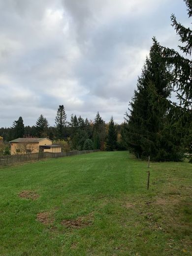 Idyllisch ruhig gelegenes Baugrundstück mit 1986m² – 241113_GS_1012_Lgbd_Bilder_002