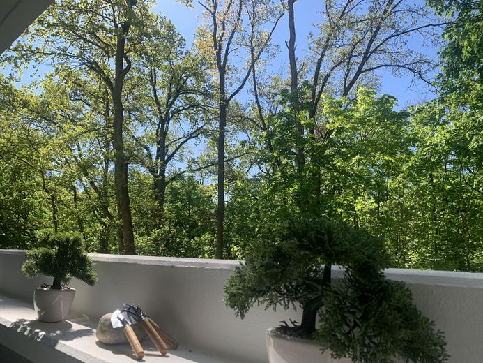 *Reserviert* Vollmöbliertes Design-Apartment in Westend: Kernsaniert, Provisionsfrei& Bezugsfrei! – Foto 8