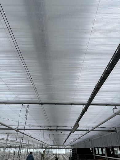 Gärtnerei in Burgau zu verkaufen oder vermieten – Energieschirm