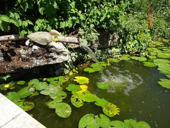 Große Maisonette mit Garten und Biotop – Biotop mit Bachlauf und Brunne