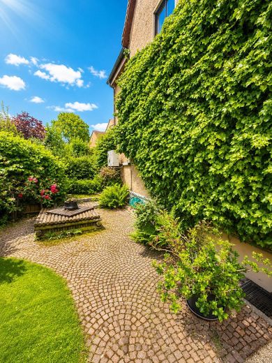 Eingewachsener Garten
