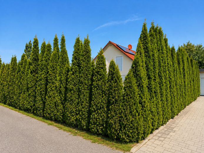 676 m² arsa üzerinde 324 m² kullanım alanına sahip müstakil müstakil ev – Fotoğraf 40