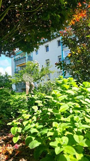 2-Zimmer-Erdgeschosswohnung mit Balkon - leerstehend &amp; sofort nutzbar – Garten
