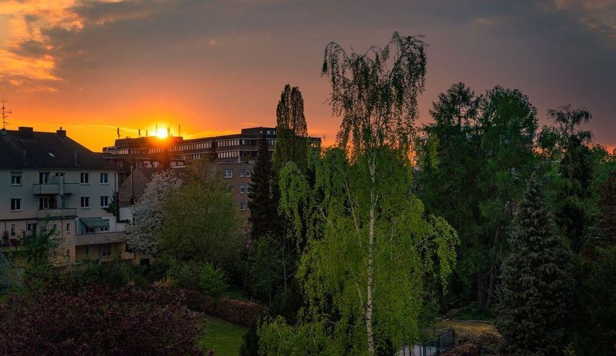 Bellissimo appartamento nel quartiere storico di Mönchengladbach – Ausblick zum Garten
