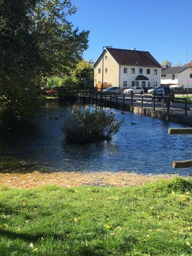 Gemütliche möblierte Wohnung mit Blick ins Grüne – Umgebung Weiher
