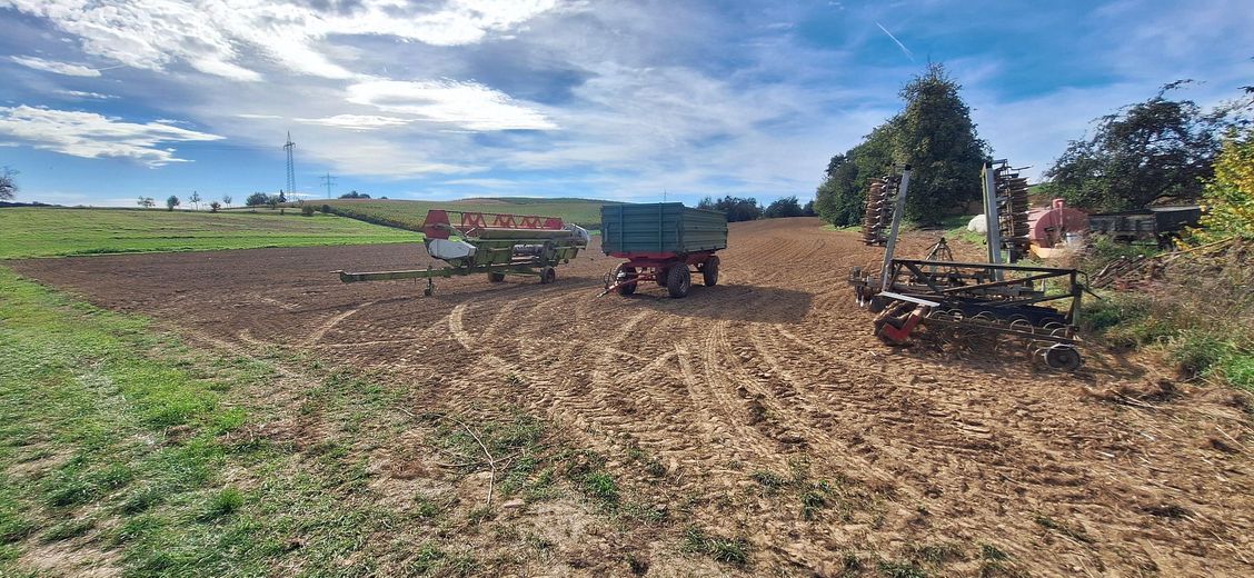 Felder in 40 m Luftlinie