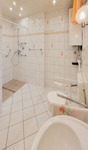 Rarität! Familienhaus in Mz-Finthen! Viel Charme &amp; Platz für eigene Ideen! Innenhof, Anbau,Scheune.. – Tageslichtbad EG