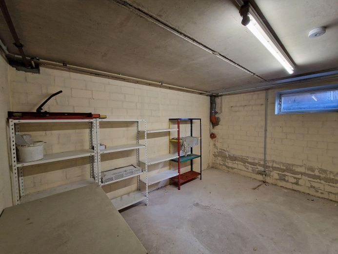 Seltene Gelegenheit in Holtorf: Großzügiges Zweifamilienhaus mit Terrasse und Garage – Keller Gemeinschaftsraum