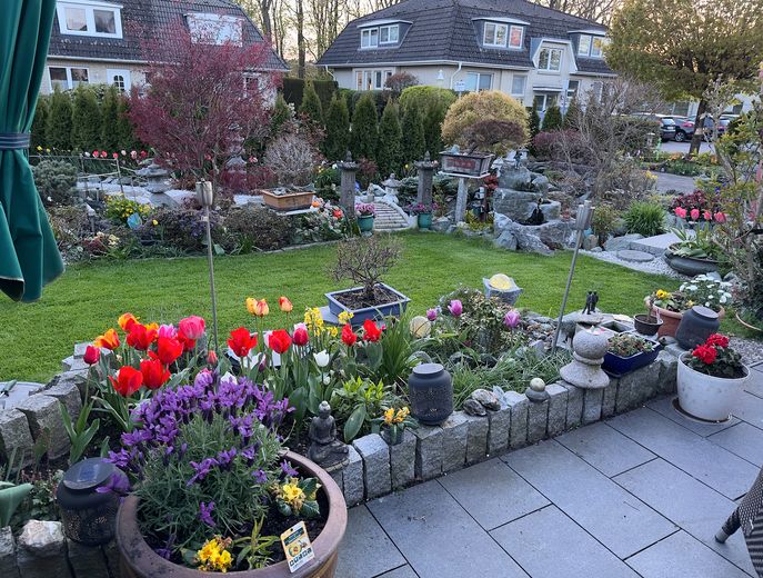 Garten mit Bonsai